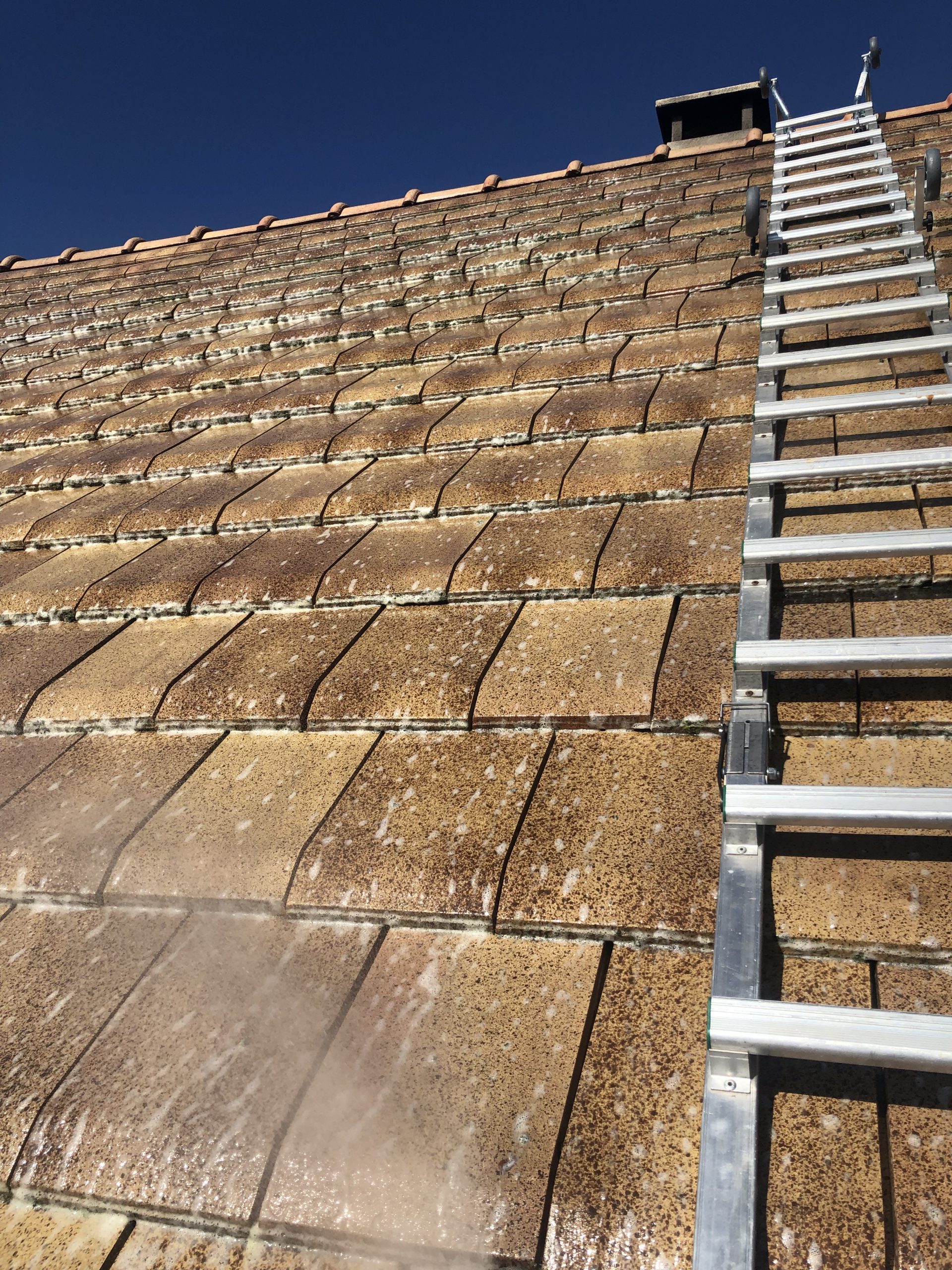 2C09395F CB65 4E56 8D73 7889D2EEDF7B scaled