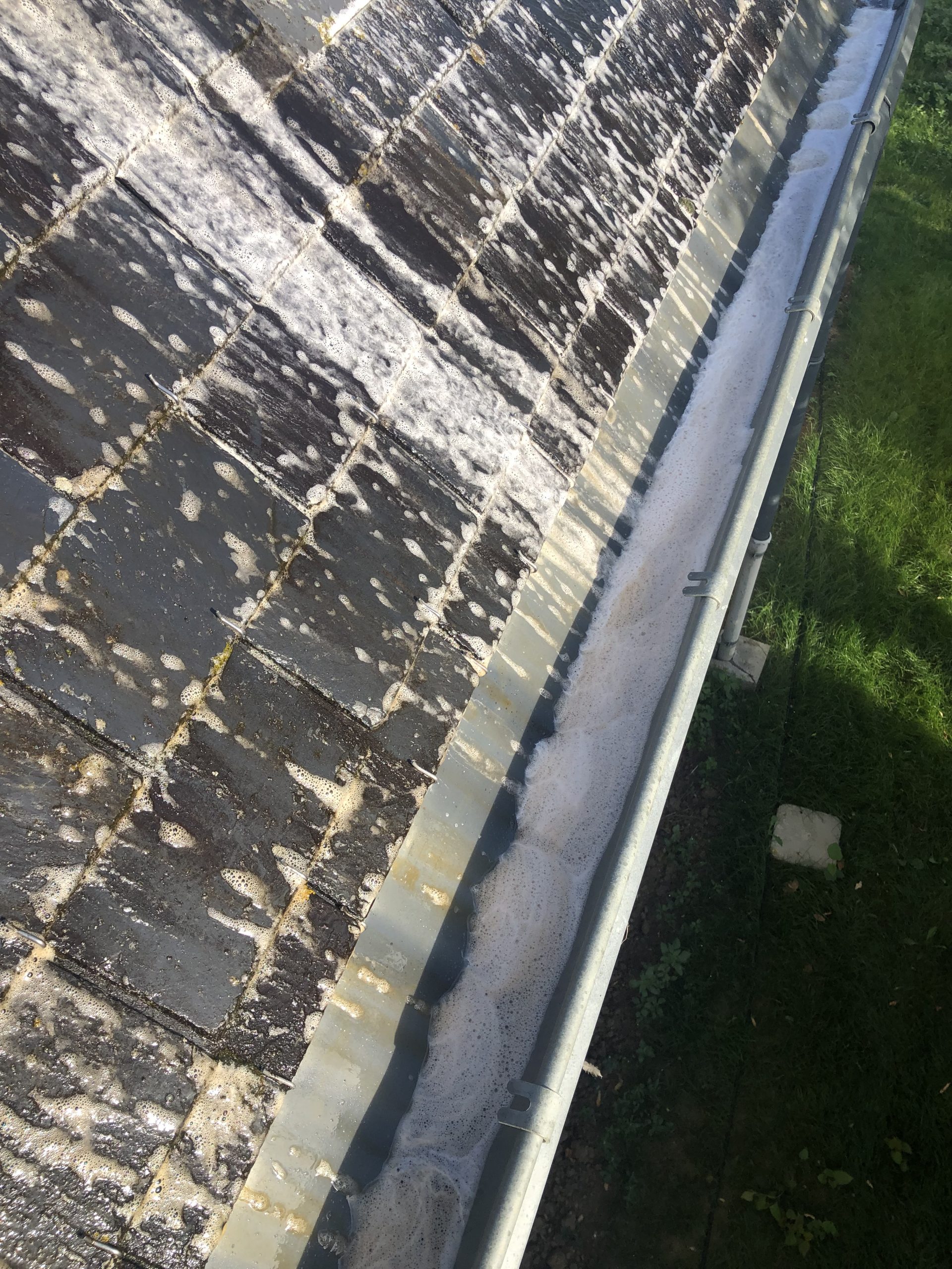 3BACB691 D7F1 414E B335 EED90591238D scaled