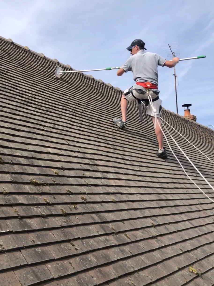 87393E5A 48E9 478A 9969 6A3CA4310F35